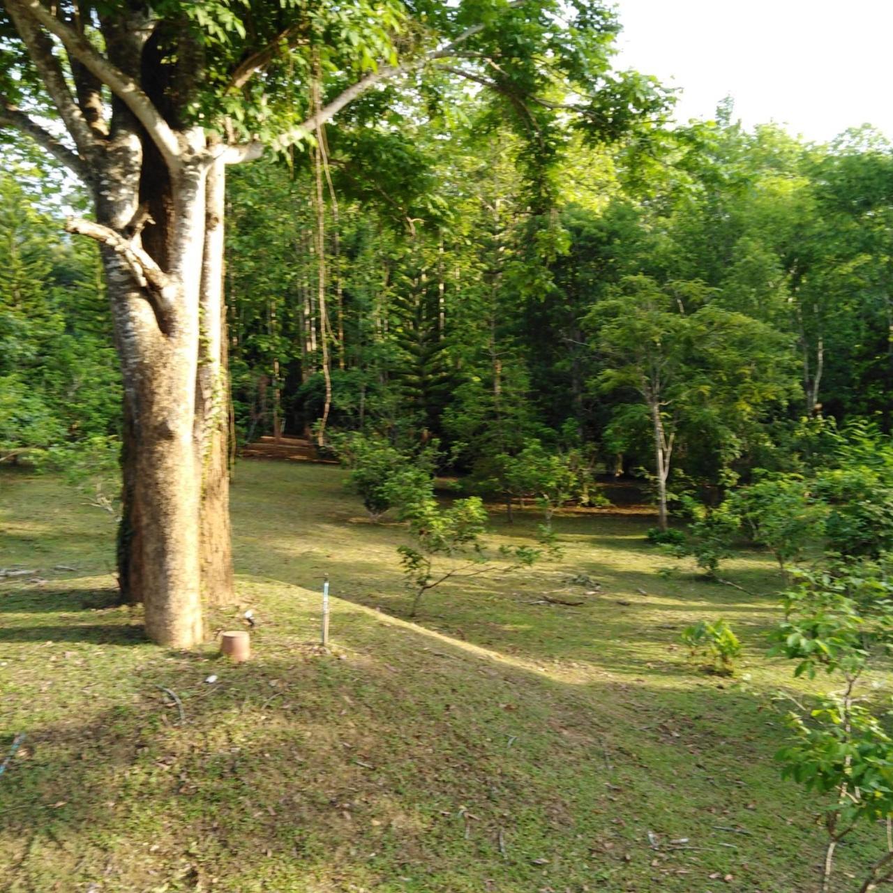 At Home Chiang Dao Ban Tham  Bagian luar foto